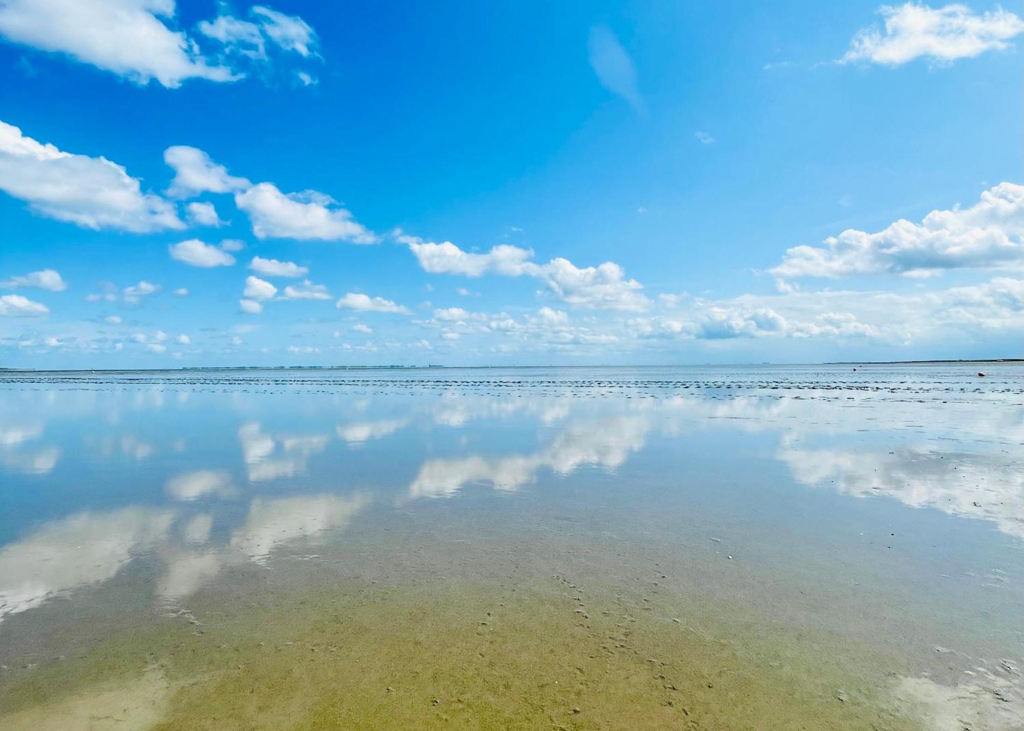 Fewo Frieda'S Platz Am Meer Dangast Exteriör bild