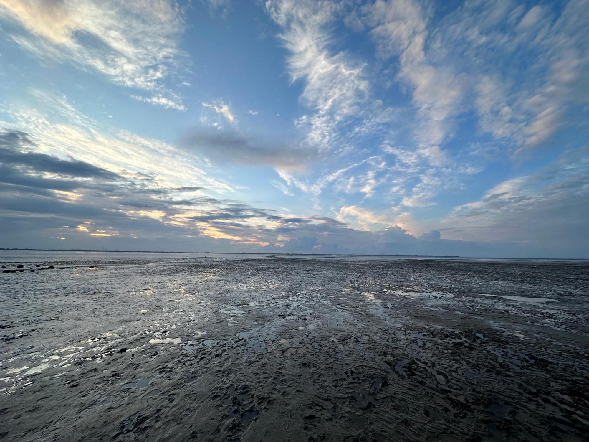 Fewo Frieda'S Platz Am Meer Dangast Exteriör bild